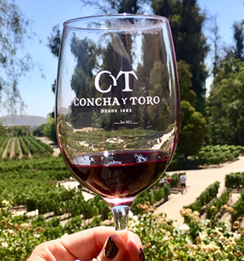 vinho-santiago-chile-01