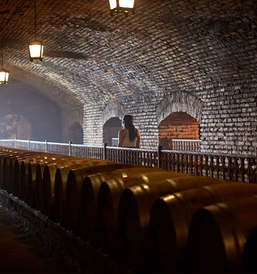 vinho-santiago-chile-03